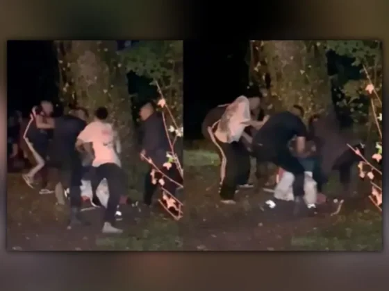 Detienen a dos hombres acusados de participar en la golpiza a menores en una fiesta clandestina