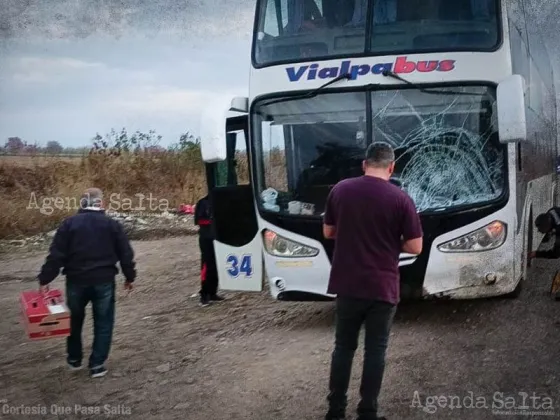 Tragedia en Salta: volvía a su casa y murió atropellado