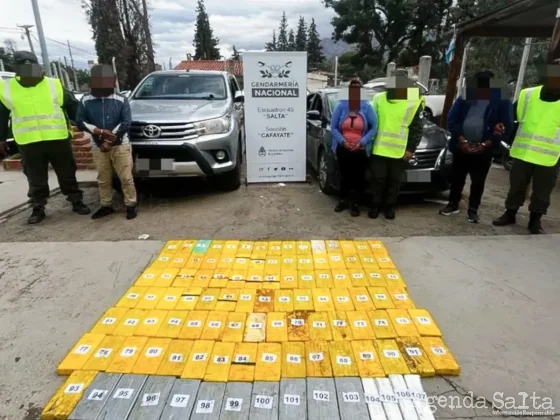 Gendarmería secuestró 109 kilos de cocaína en un operativo en Cafayate