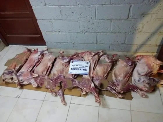 Se secuestro alrededor de 2 mil kilos de carne no apta para consumo humano