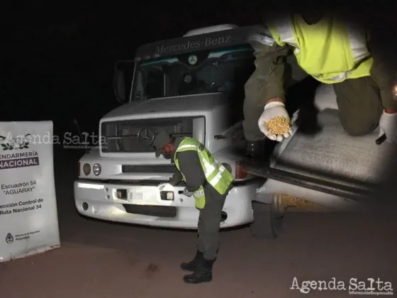 Crecen las decomisaciones de granos en la frontera salteña.