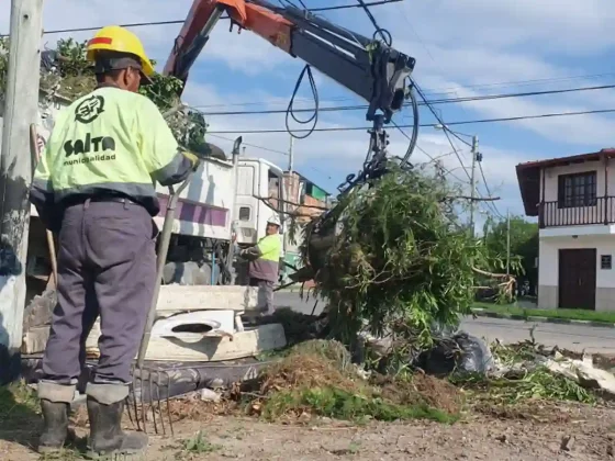 El municipio retiró más de 44 mil microbasurales durante el año 2024