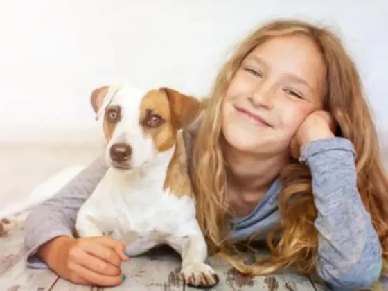 El truco imbatible para evitar que los perros hagan pis dentro de la casa