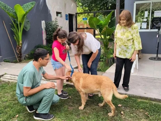 Lograron dar en adopción a un perro de 13 años de edad