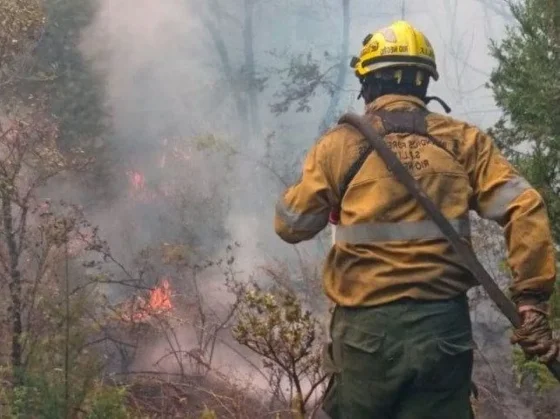 Identificaron a los autores del incendio en El Bolsón