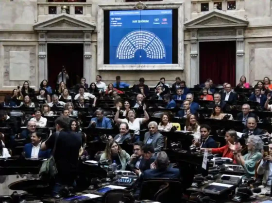 Diputados: el oficialismo apuesta a aprobar la suspensión de las PASO