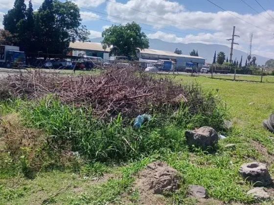 Multaron a una empresa por generar un microbasural en Av. Tavella