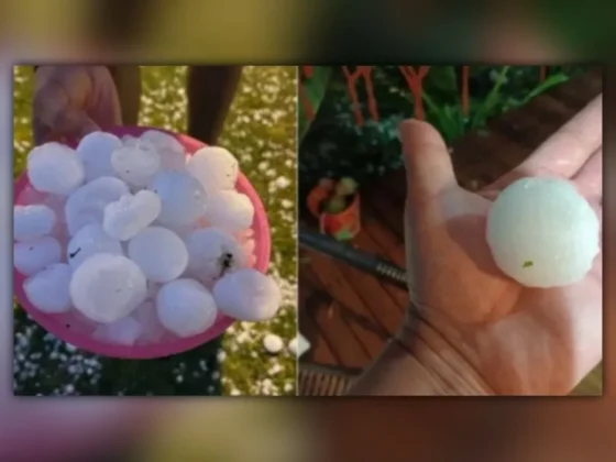 Granizo y fuertes vientos en Mar del Plata provocaron daños en autos y cortes de luz