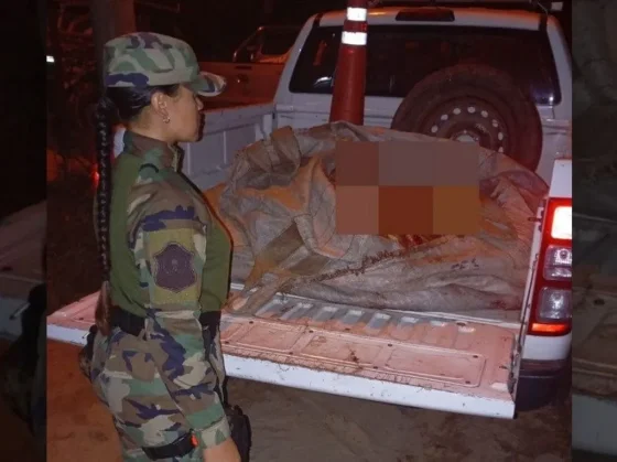 La policía secuestró más de 500 kilos de carne no apta para el consumo