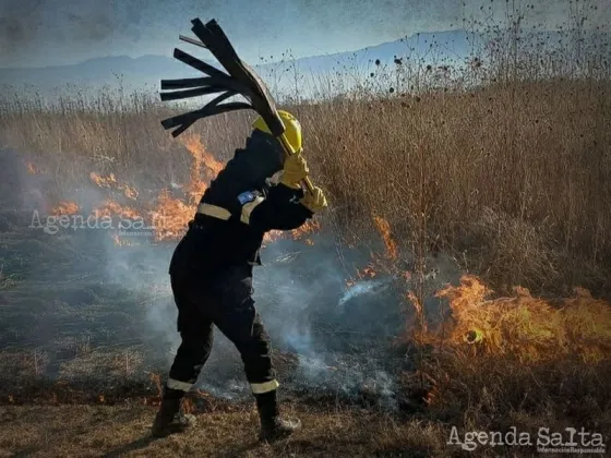 El Zonda hizo desastres: Equipos municipales sofocaron varios incendios de pastizales de gran magnitud