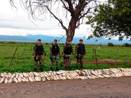 La Policía decomisó 250 sábalos e infraccionó al transportista en Guachipas