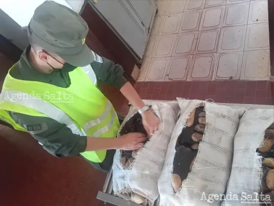 Los famosos "Paperos": detienen a dos verduleros traficando 20 kilos de coca en bolsas de papa