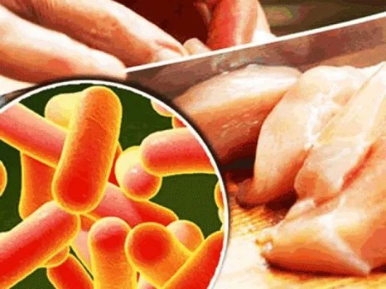 Estas son las pautas de cuidado para prevenir la infección por salmonelosis