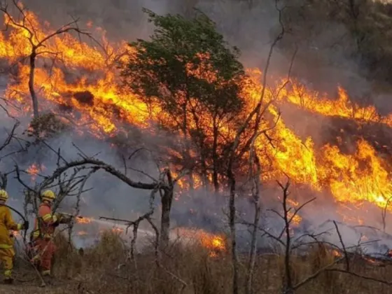 En medio de los incendios, Diputados empieza a tratar en comisión la Ley de Humedales