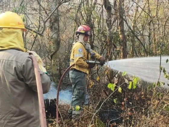 Bomberos continúan trabajando en el sofocamiento de incendios en la provincia