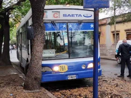 MICROCENTRO: Un colectivo del  corredor 7C se incrustó en un árbol