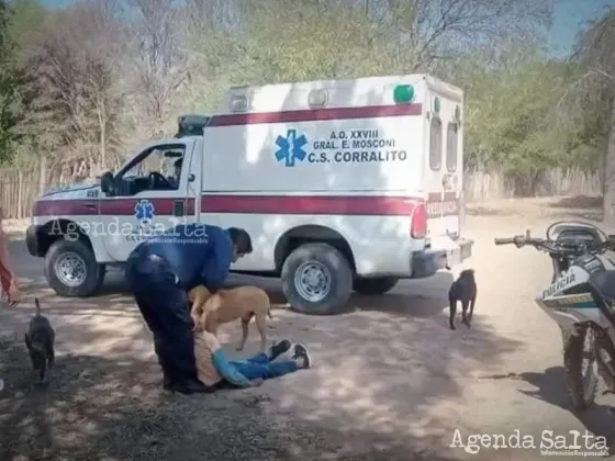 TARTAGAL: Tiene 10 años y lo hallaron borracho e inconsciente