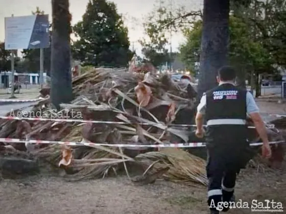 Por los fuertes vientos hubo cortes de energía, incendios y árboles caídos