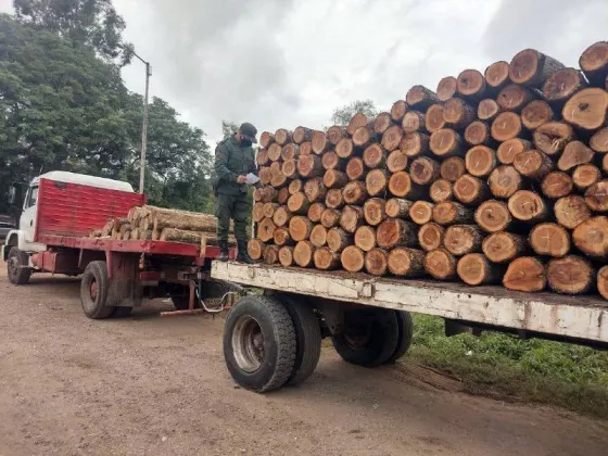 TRANSPORTE ILEGAL: Confiscaron madera valuada en más de un millón de pesos