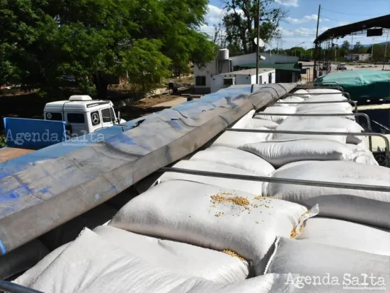 Los camiones que transportaban la mercadería provenían de la provincia de Córdoba.