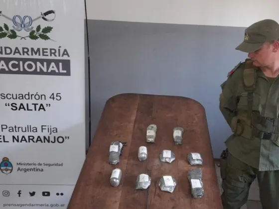 El escuadron 45 "Salta" de Gendarmería secuestró Cocaína valuada en más de 20 mil dólares