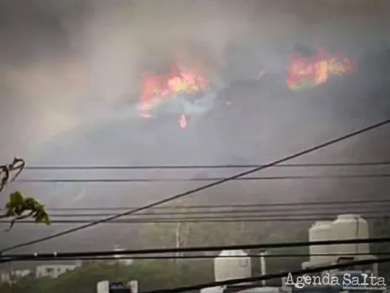 Incendio destruye el cerro 20 de febrero: Intenso trabajo de bomberos