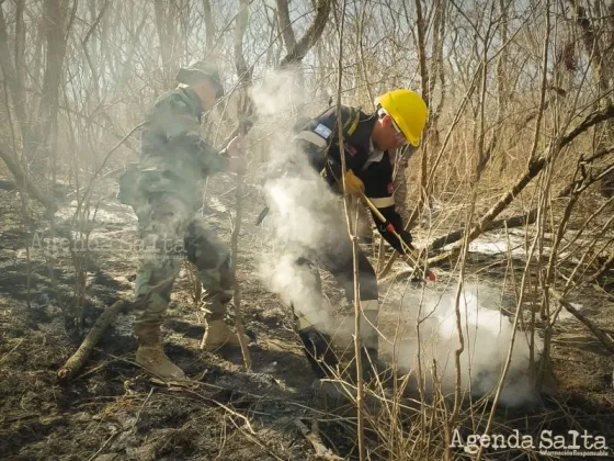 Sin lluvias en el horizonte: El fuego no se detiene y el cerro se sigue quemando