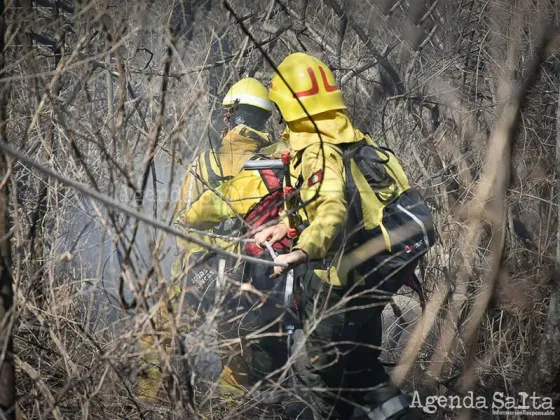 "Hay que diseñar barreras cortafuego" Vecinos del cerro proponen medidas preventivas