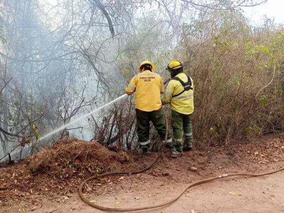 Continúan los trabajos para combatir los incendios forestales en la provincia