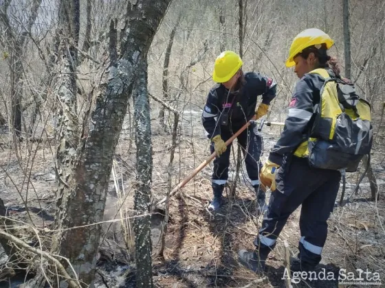 Salta se sigue quemando: está entre las siete provincias con incendios activos