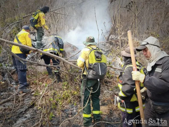 Se quemaron 12 mil hectáreas en Orán