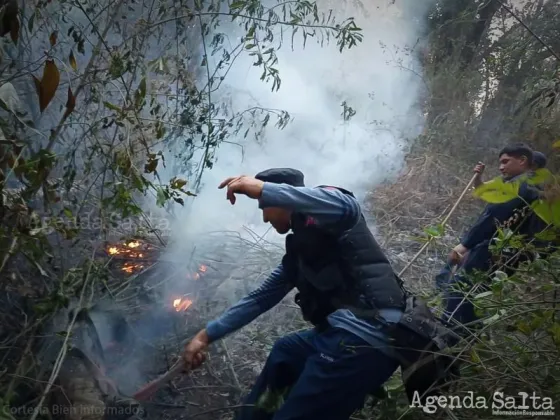 Familias y baqueanos ayudan a cinco bomberos que luchan contra el fuego