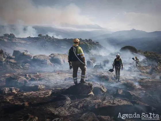 Advierten que el fuego amenaza con convertir al Parque Nacional Calilegua en un desierto