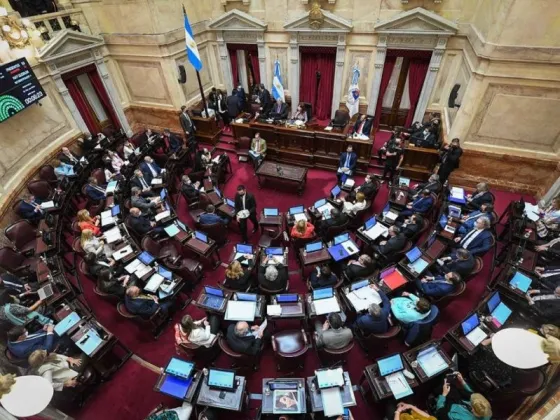 Sin la oposición, el Senado convirtió en ley el Presupuesto 2023