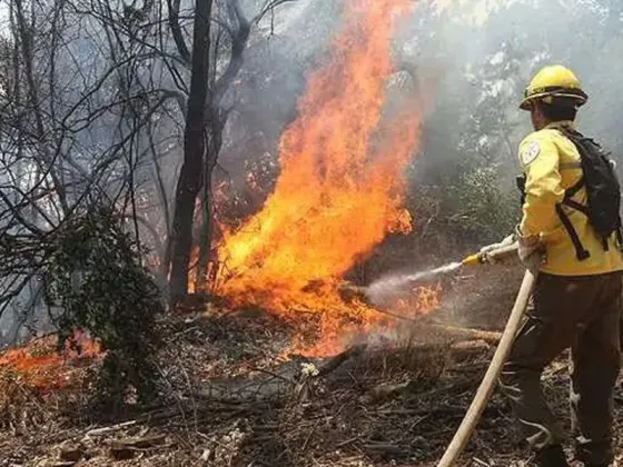 SOFOCACIÓN: Para no arriesgara los brigadistas, suspenden los operativos en el norte