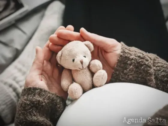 Diputados le dio media sanción a la ley que busca contener a las mujeres ante la muerte perinatal