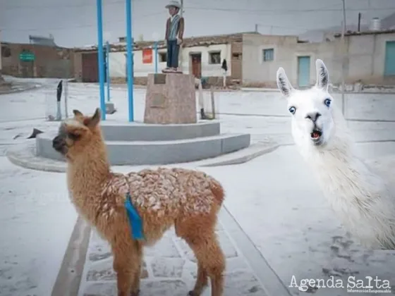 ¡Tiempo loco! Cayó nieve en Jujuy en el inicio de diciembre