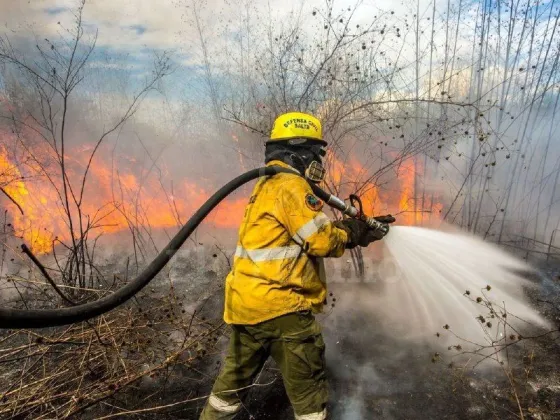 Salta entre las provincias que registran incendios forestales activos