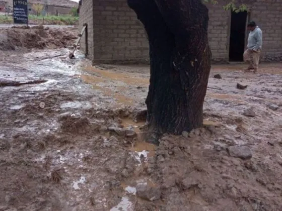 FUERTE TEMPORAL: Arrasó en la zona de la Puna y los Valles Calchaquíes