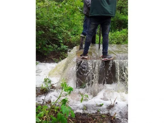 DEPARTAMENTO SAN MARTÍN: Estado de situación del servicio de agua de red