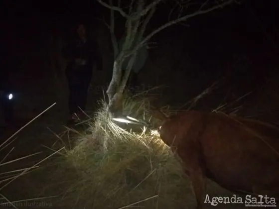 Furioso enfrentamiento entre cuatreros y el dueño de animales dejó heridos de bala y desaparecidos