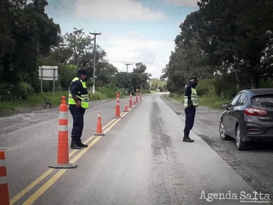 Operativos de Fin de Año: Detectaron 369 conductores borrachos