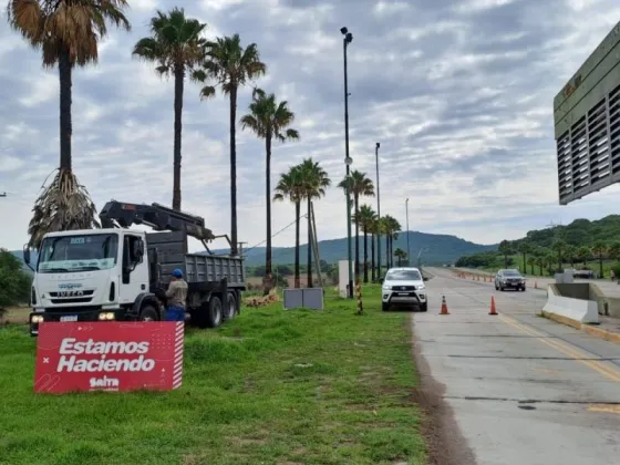 La Municipalidad trabaja en la puesta a punto del acceso a la ciudad